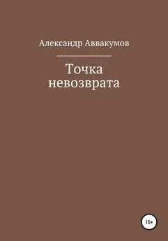 Александр Аввакумов - Точка невозврата