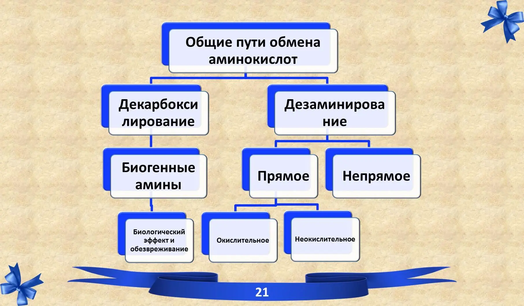 V Дезаминирование 51 Прямое окислительное дезаминирование В печени - фото 35
