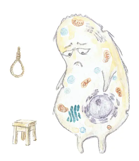 Рис 17 Вот так мы привыкли представлять себе апоптоз Жаль что - фото 29