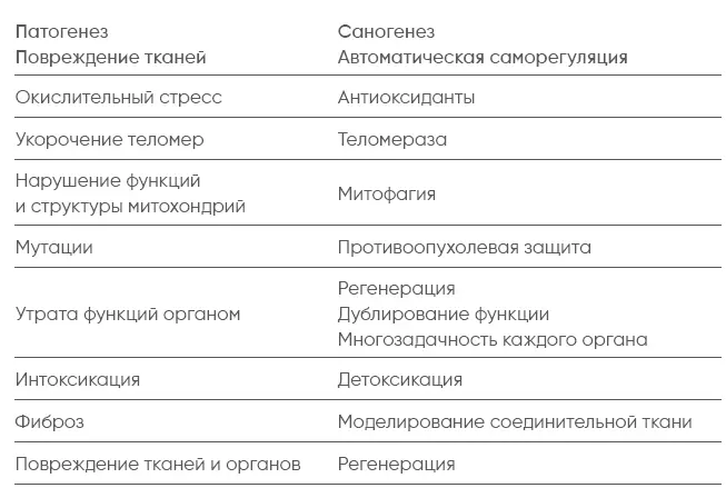 Как видите в каждом человеке действует собственная ремонтная мастерская Она - фото 34