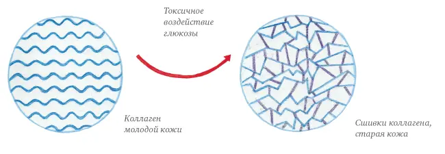 Рис 36 В следующий раз когда вам захочется шоколадку вспомните эту - фото 56