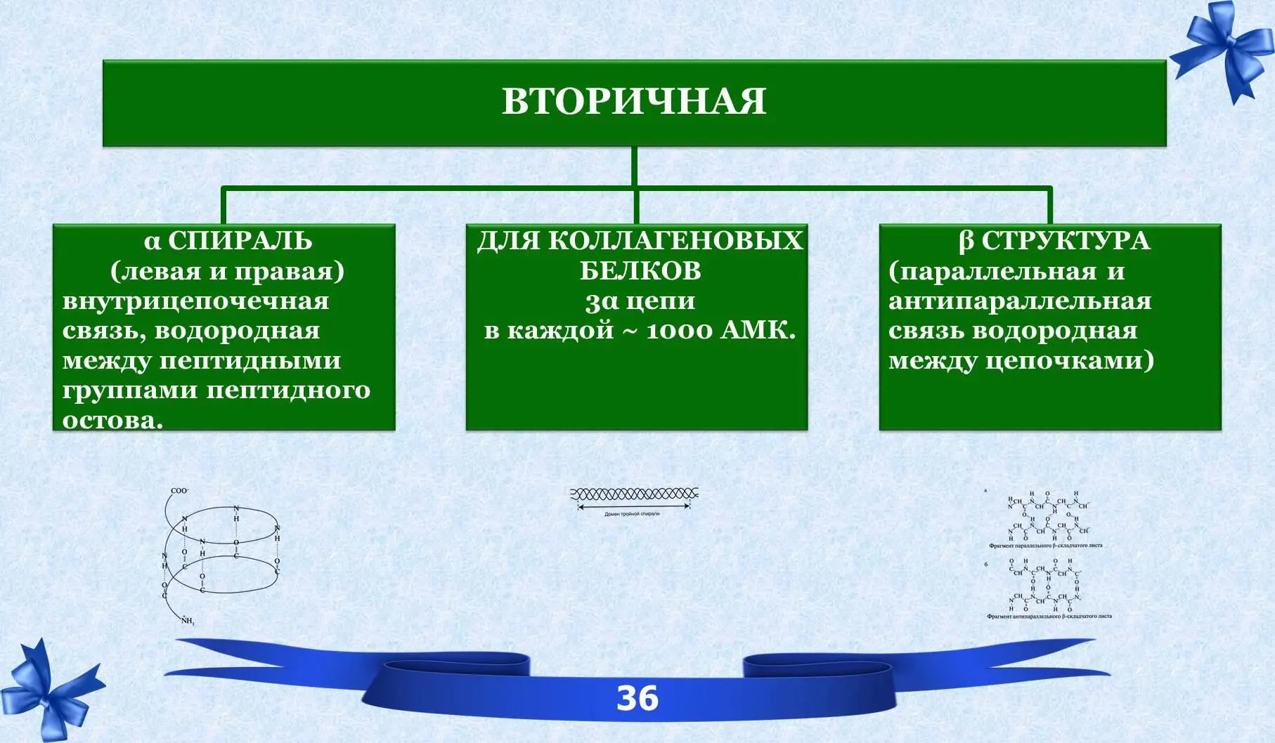 VII Третичная структура белков ТРЕТИЧНАЯ СТРУКТУРА пространственная - фото 25