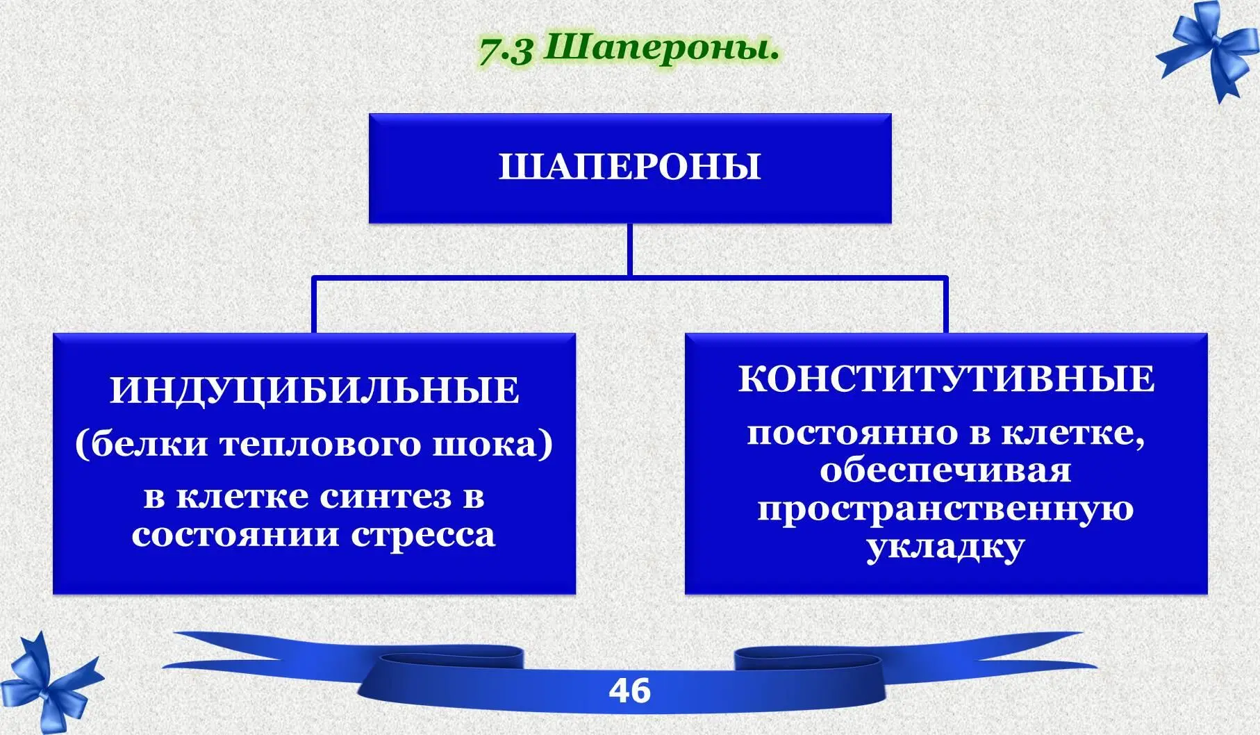 В соответствии с молекулярной массой все шапероны делятся на 6 основных групп - фото 32