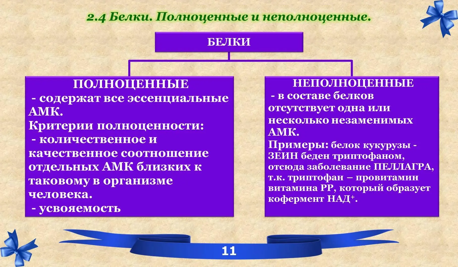 Белки Часть 1 химия белков - фото 5