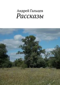 Андрей Гальцев - Рассказы