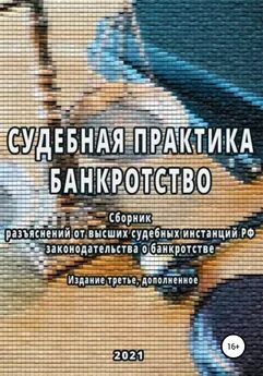 Владимир Лунев - Сборник разъяснений высших судебных инстанций РФ законодательства о банкротстве