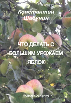 Константин Шабунин - Что делать с большим урожаем яблок?