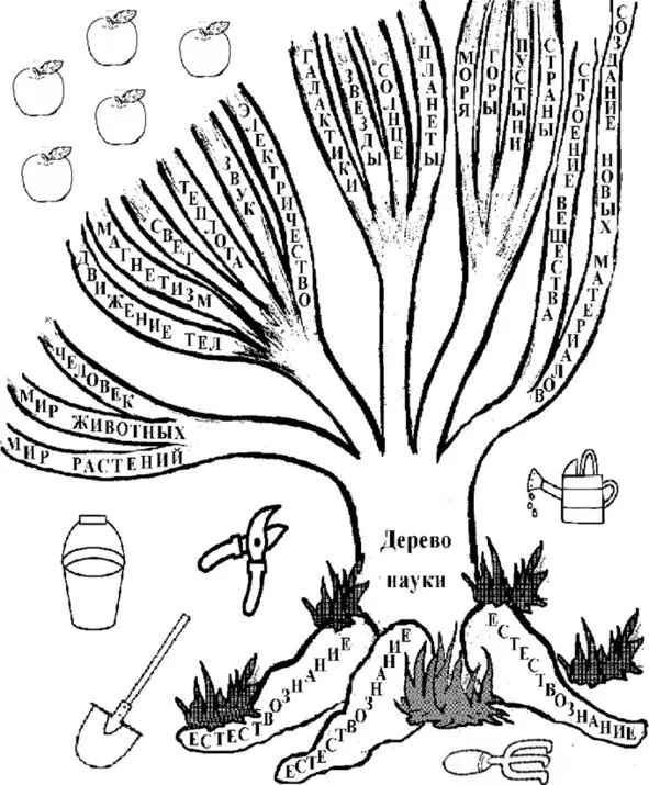 Дерево науки Научные понятия Перечислите физические явления которые были - фото 1