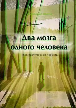 Александр Шиков - Два мозга одного человека