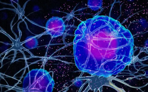 Рис 3 Нейронные связи под электронным микроскопом Мозг состоит из нервных - фото 3