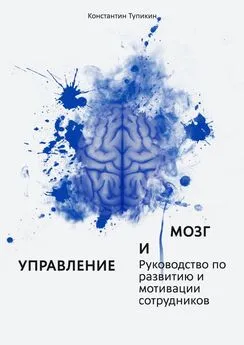 Константин Тупикин - Управление и мозг. Руководство по развитию и мотивации сотрудников. Помощь для руководителей