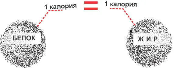 Расход калорий В Пищевой Пирамиде приоритетов Эрик ставит в основание - фото 16