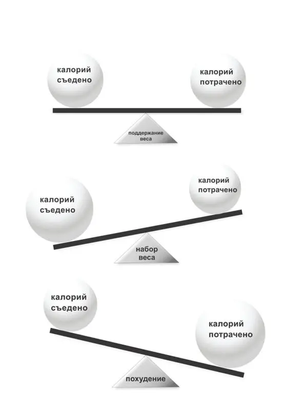 Расход калорий В Пищевой Пирамиде приоритетов Эрик ставит в основание калории - фото 17
