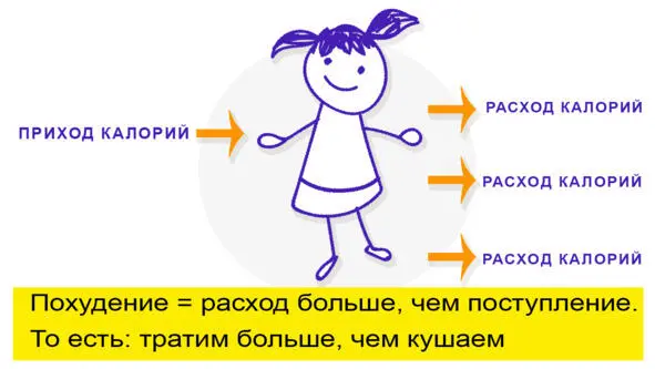 Почему не надо им следовать Механизм по которому работает диета До диеты - фото 4