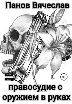 Вячеслав Панов - Правосудие с оружием в руках