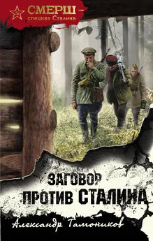 Александр Тамоников - Заговор против Сталина