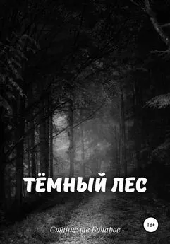 Станислав Бочаров - Тёмный лес