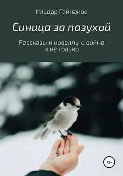 Ильдар Гайнанов - Синица за пазухой. Рассказы и новеллы о войне и не только