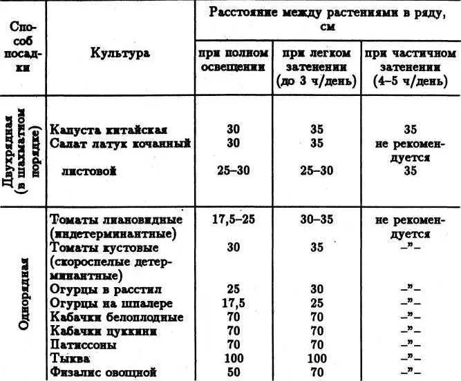 Высаживать рассаду в шахматном порядке Интервалы между растениями в ряду - фото 13