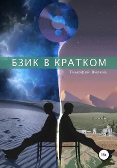 Тимофей Вилкин - Бзик в кратком