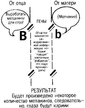 Рисунок 52 Рисунок 3 Рисунок 4 Рисунок 5 - фото 57