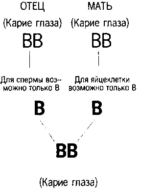 Рисунок 51 Рисунок 52 Рисунок 53 Рисуно - фото 60