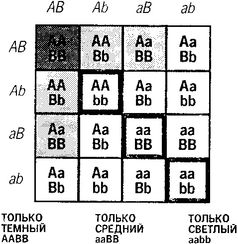 Рисунок 8 Все мы имеем одни и те же основные кожные пигменты меланины но в - фото 66