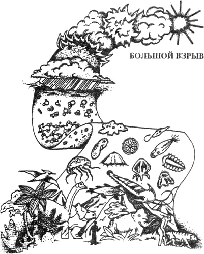 Рис 45 На схеме показан типичный для учебников рисунок иллюстрирующий - фото 45