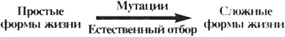Мутации Мутация это изменение в генетическом коде Часто мутации определяют - фото 57