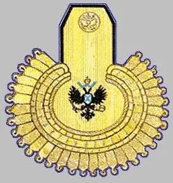 В 1807 году в виде знаков отличия были введены эполеты с золотыми и - фото 90