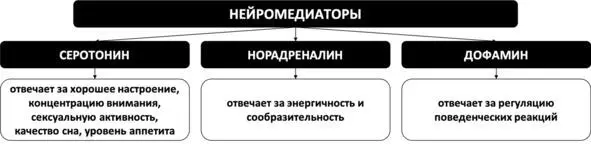 Рис 3 Святая троица нейромедиаторов Эффект плацебо С теорией химической - фото 5