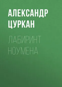 Александр Цуркан - Лабиринт ноумена
