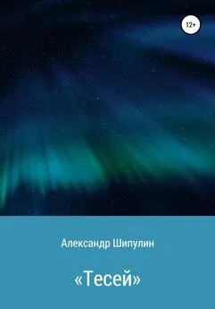 Александр Шипулин - «Тесей»