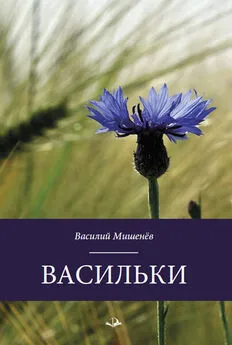 Василий Мишенёв - Васильки