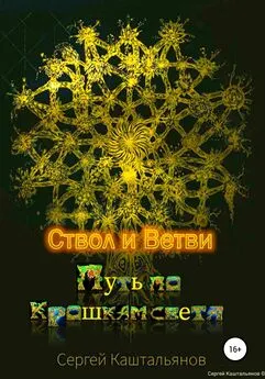 Сергей Каштальянов - Путь по крошкам света. Ствол и ветви