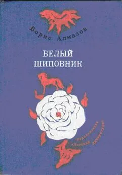 Борис Алмазов - Деревянное царство (с рисунками О. Биантовской)