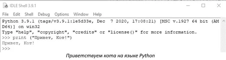 Если есть ошибки они будут выделены красным Например можно забыть кавычки - фото 8