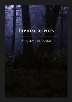 Анастасия Данко - Ночная дорога