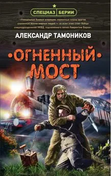 Александр Тамоников - Огненный мост