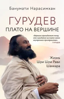 Банумати Нарасимхан - Гурудев. Плато на вершине. Жизнь Шри Шри Рави Шанкара