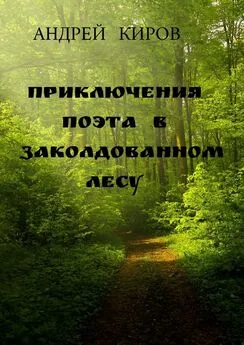 Андрей Киров - Приключения поэта в заколдованном лесу