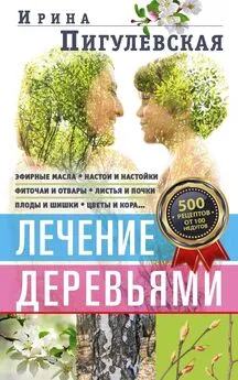 Ирина Пигулевская - Лечение деревьями. 500 рецептов от 100 недугов