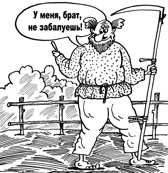 Почему не следует убирать в компост срезанные сорняки а оставлять их на месте - фото 8