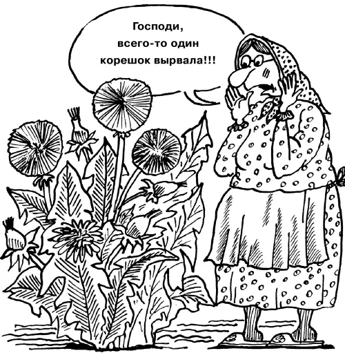 Ну хорошо с многолетними корневищными сорняками мы бороться научились А как - фото 9