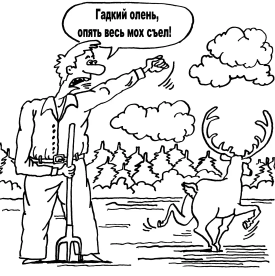 Итак чтобы избавиться от проблем с поливами и подкормками на огороде надо - фото 13