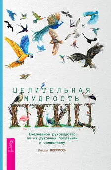 Лесли Моррисон - Целительная мудрость птиц. Ежедневное руководство по их духовным посланиям и символизму