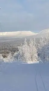 Жара полуденный кошмар Жара полуденный кошмар Как все кошмары - фото 2