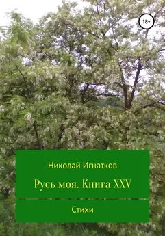 Николай Игнатков - Русь моя. Книга XXV