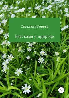 Светлана Горева - Рассказы о природе