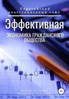 Владимир Чиковани - Эффективная экономика гражданского общества